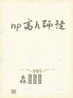 np高h师徒 np高h师徒