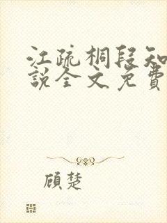 江疏桐段知许小说全文免费阅读