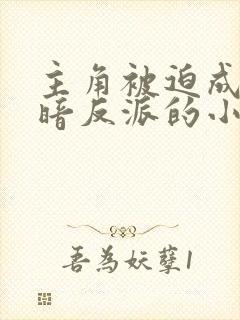 主角被迫成为黑暗反派的小说