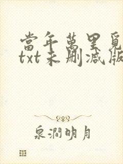 当年万里觅封侯txt未删减版