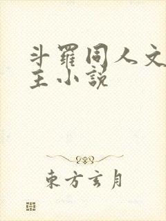 斗罗同人文单女主小说