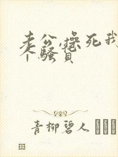 老公,操死我这个骚货