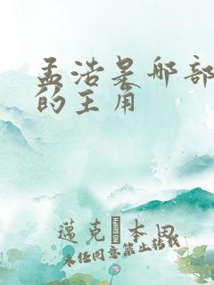 孟浩是哪部小说的主角