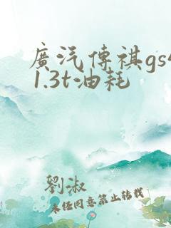 广汽传祺gs4 1.3t油耗
