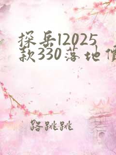 探岳l2025款330落地价