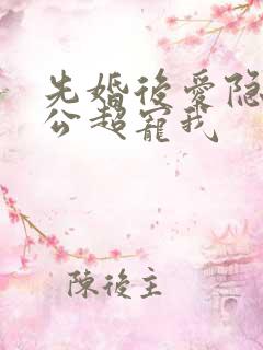 先婚后爱隐婚老公超宠我