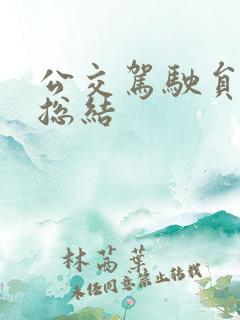 公交驾驶员工作总结