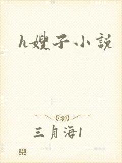 h嫂子小说