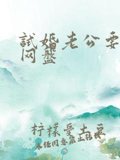 试婚老公要给力网盘