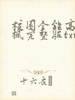 校园全能高手季枫完整版txt下载
