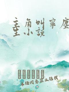 主角叫宁尘的重生小说