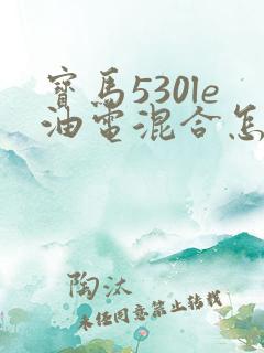 宝马530le油电混合怎么样