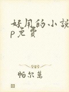 好用的小说app免费