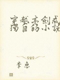 穿越亮剑成土匪独自的小说