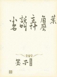 小说主角叶辰书名叫什么