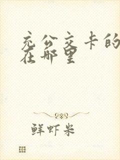 充公交卡的地方在哪里