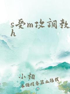 s受m攻调教高h