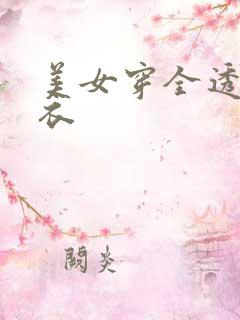 美女穿全透明内衣