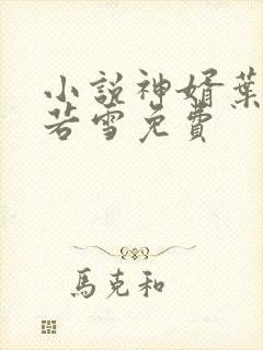 小说神婿叶凡唐若雪免费