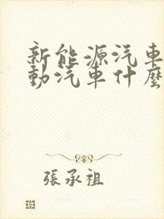 新能源汽车纯电动汽车什么牌子好