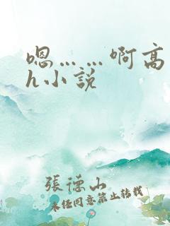 嗯……啊高潮了h小说