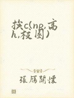 挨c(np,高h,校园)