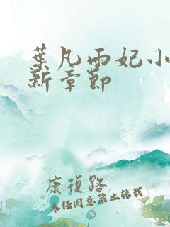 叶凡雨妃小说最新章节