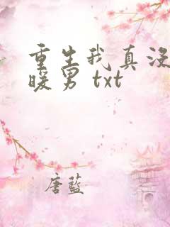 重生我真没想当暖男 txt
