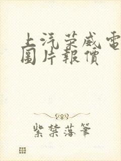 上汽荣威电动车图片报价