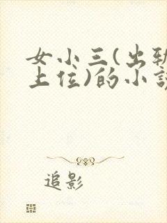 女小三(出轨,上位)的小说