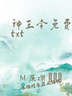 神王令免费下载txt