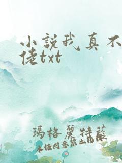 小说我真不是大佬txt