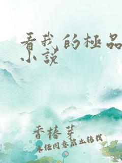 看我的极品老婆小说