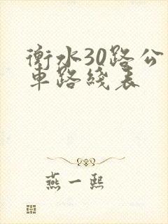 衡水30路公交车路线表