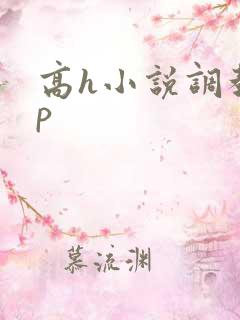 高h小说调教np