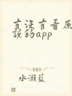 有没有看原耽小说的app