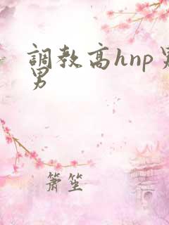 调教高hnp男男