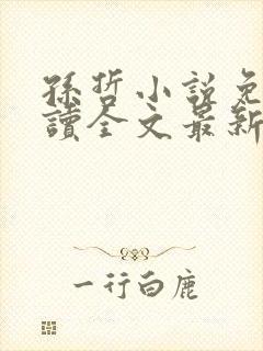 孙哲小说免费阅读全文最新章节