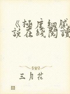 《极度细腻》小说在线阅读