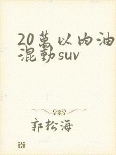 20万以内油电混动suv