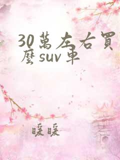 30万左右买什么suv车 30万左右买什么suv车