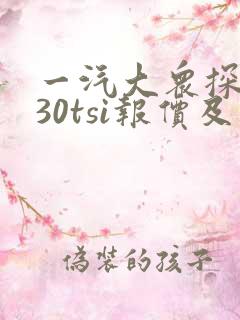 一汽大众探岳330tsi报价及图片