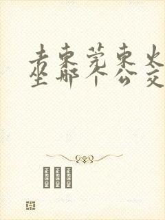 去东莞东火车站坐哪个公交车