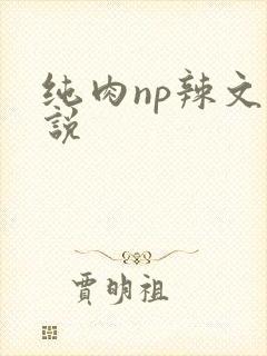 纯肉np辣文小说