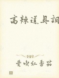 高辣道具调教文