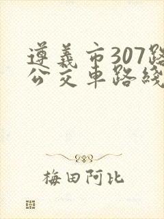 遵义市307路公交车路线图