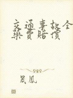 交通事故全责医药费赔偿