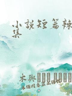 小说短篇辣文合集