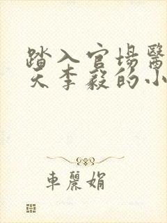 踏入官场医道问天李毅的小说