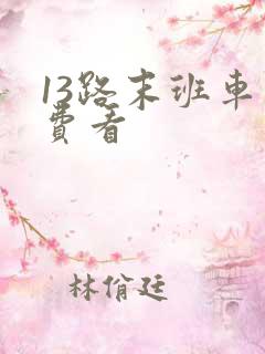13路末班车免费看